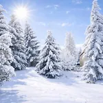 Forest House Near Klinovec With 5 Independent *