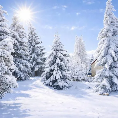Forest House Near Klinovec With 5 Independent *