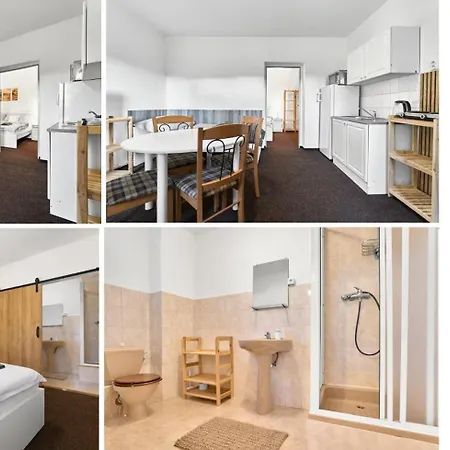 Forest House Near Klinovec With 5 Independent Apartament