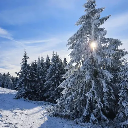 Forest House Near Klinovec With 5 Independent Kovářská