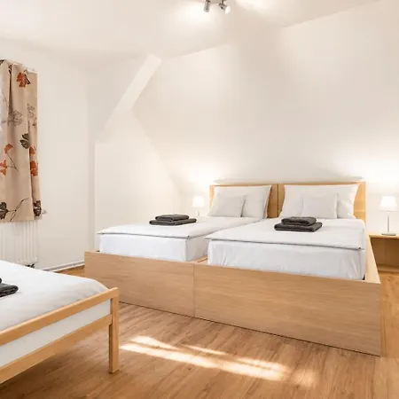 Forest House Near Klinovec With 5 Independent Apartament