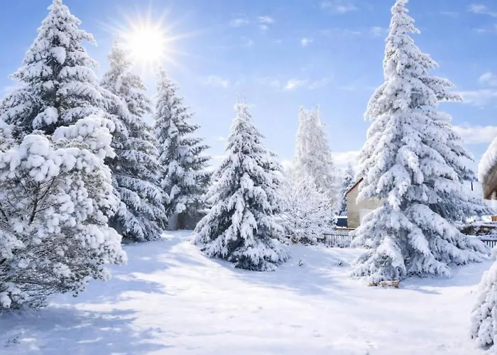 Forest House Near Klinovec With 5 Independent *