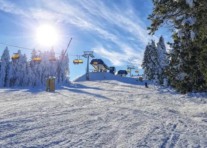 Forest House Near Klinovec With 5 Independent Apartment