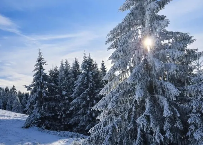 Forest House Near Klinovec With 5 Independent Kovarska