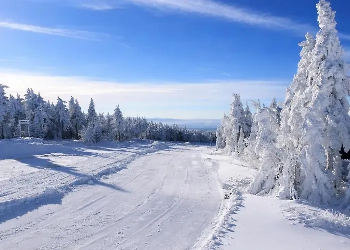 Forest House Near Klinovec With 5 Independent *