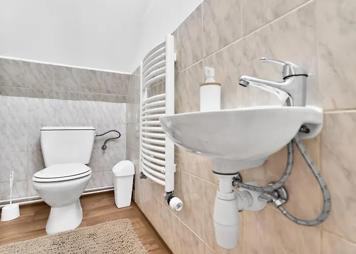 Apartment Forest House Near Klinovec With 5 Independent Kovarska