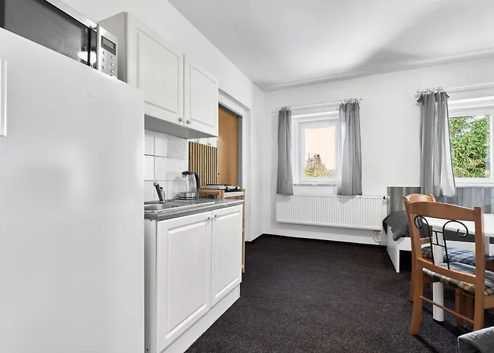 Forest House Near Klinovec With 5 Independent Apartment Kovarska