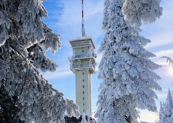 Forest House Near Klinovec With 5 Independent *